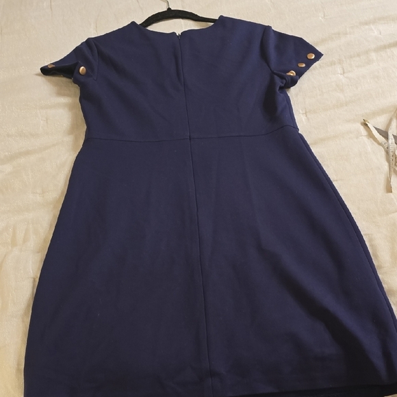 Cynthia Steffe Navy Mini Dress with Gold Studs - Picture 10 of 13